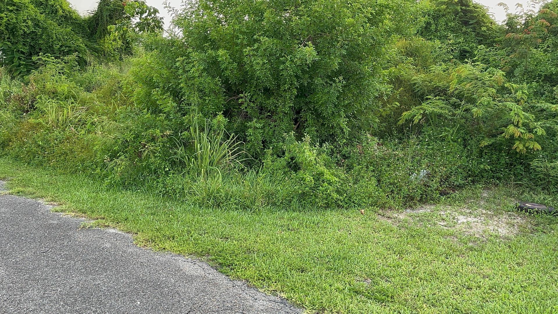 East Street North Lot Property Photo 1
