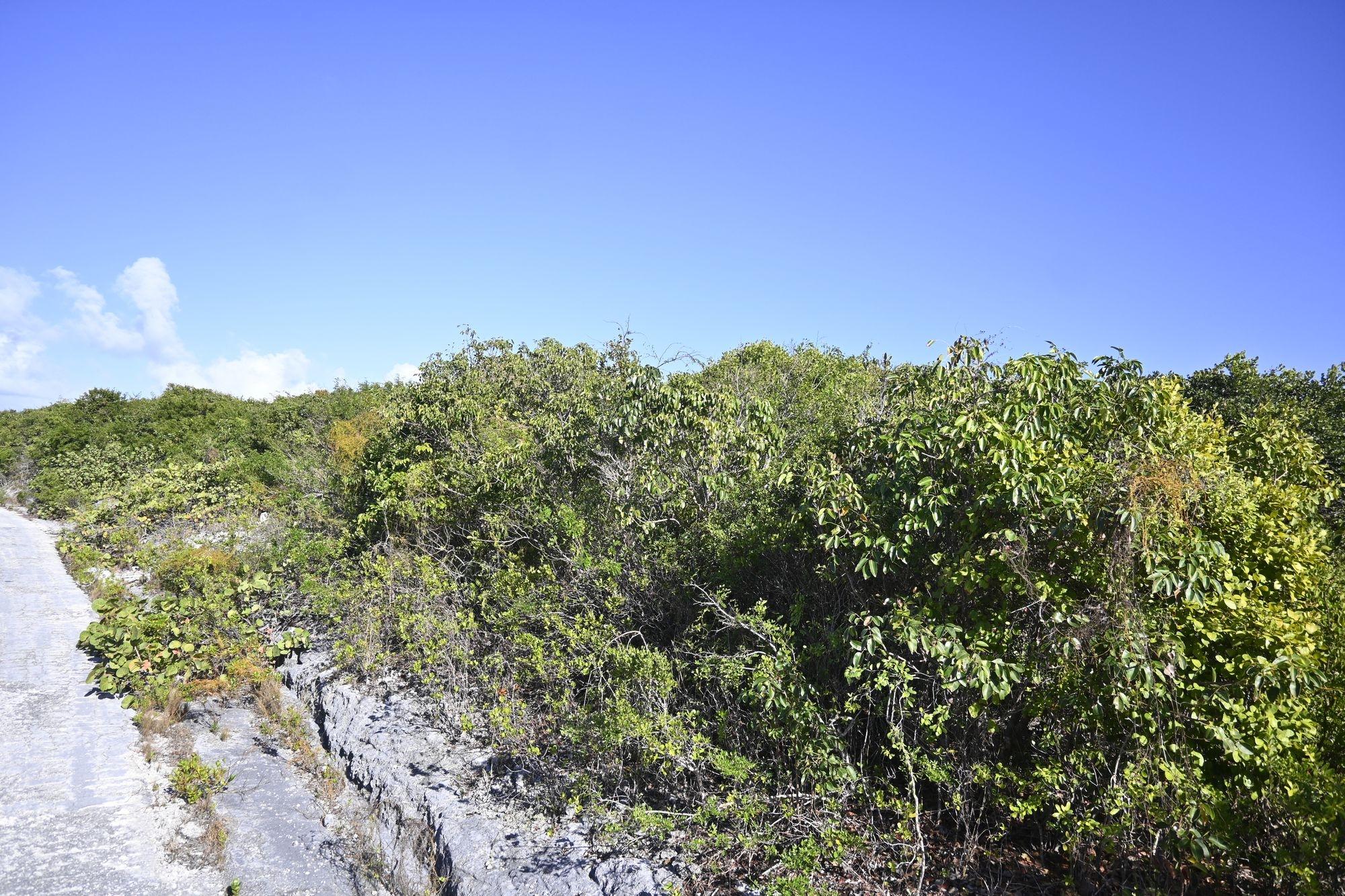 Alabaster Bay Acreage Property Photo