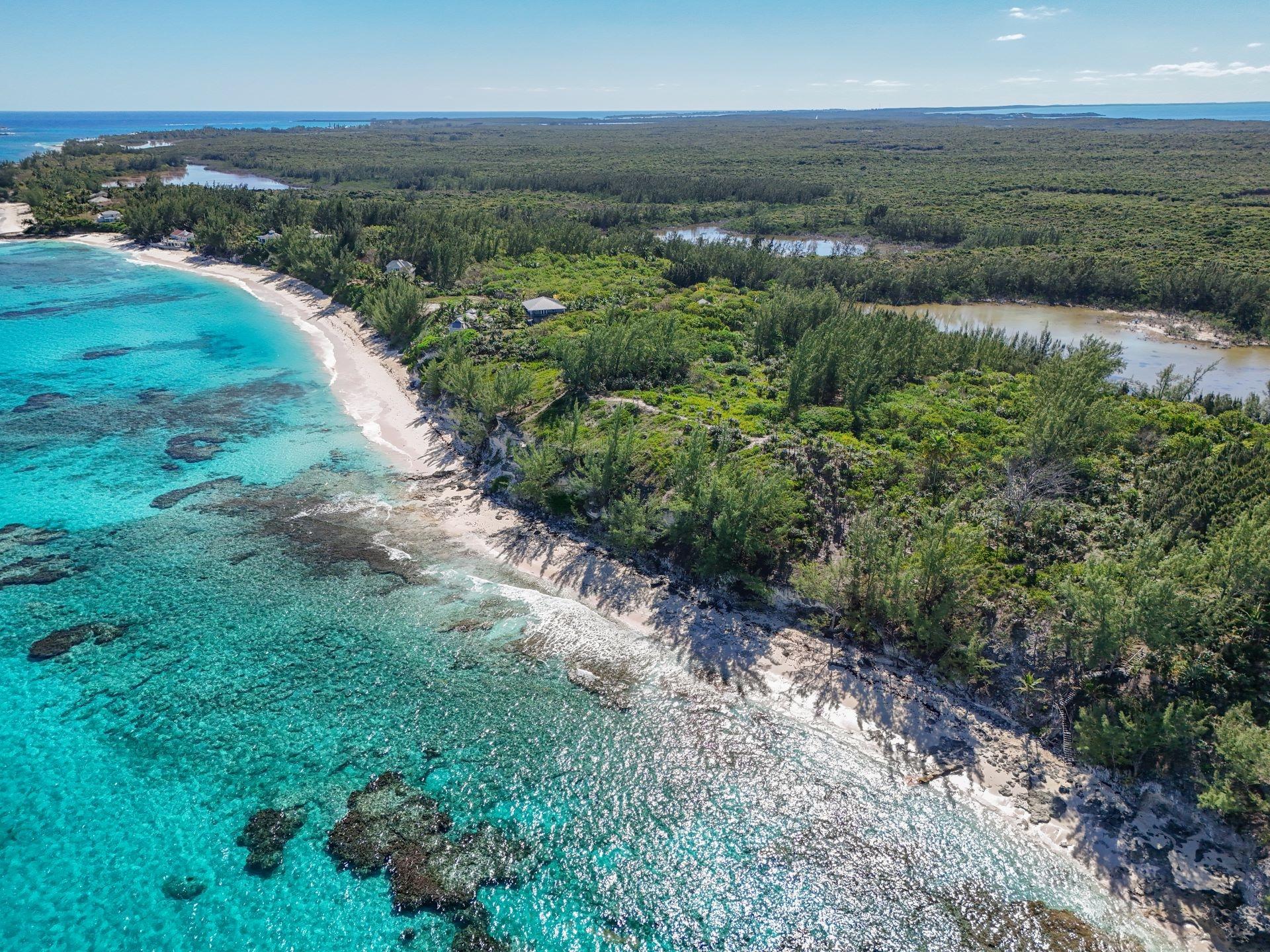 Banks Road Beachfront Property Photo