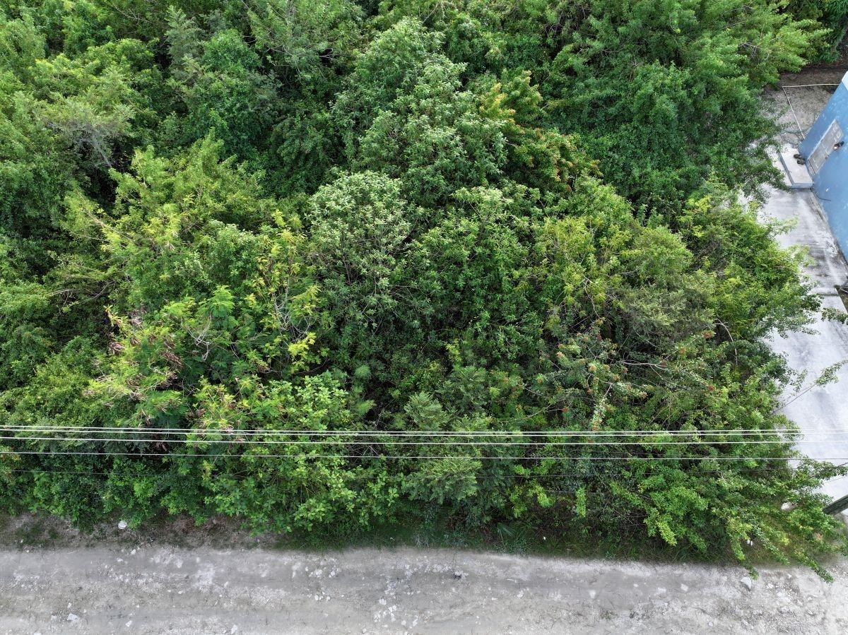 Lot 11 Boatswain Hill Property Photo