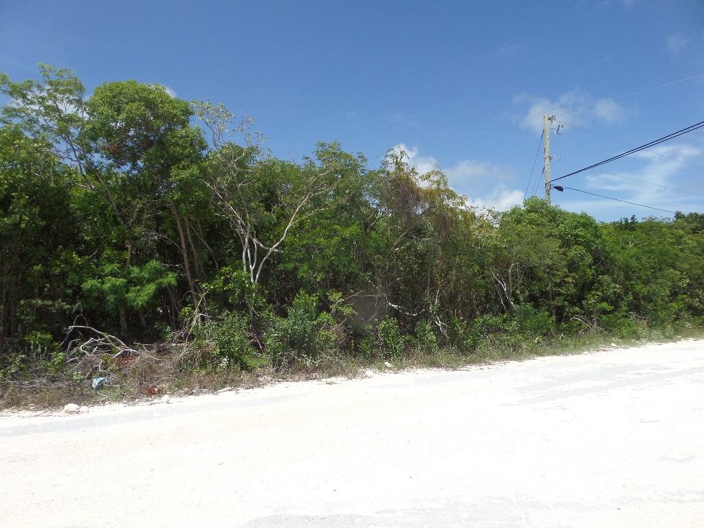 Lot# 564. Stella Maris Property Photo 1