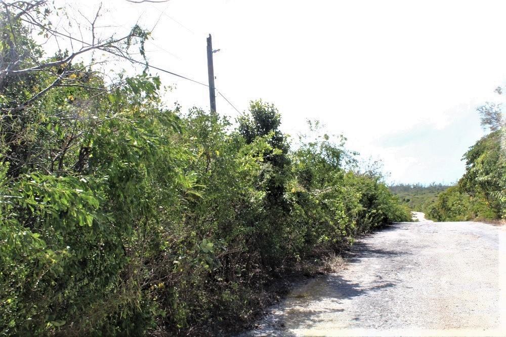 Lot# 51 Property Photo 1