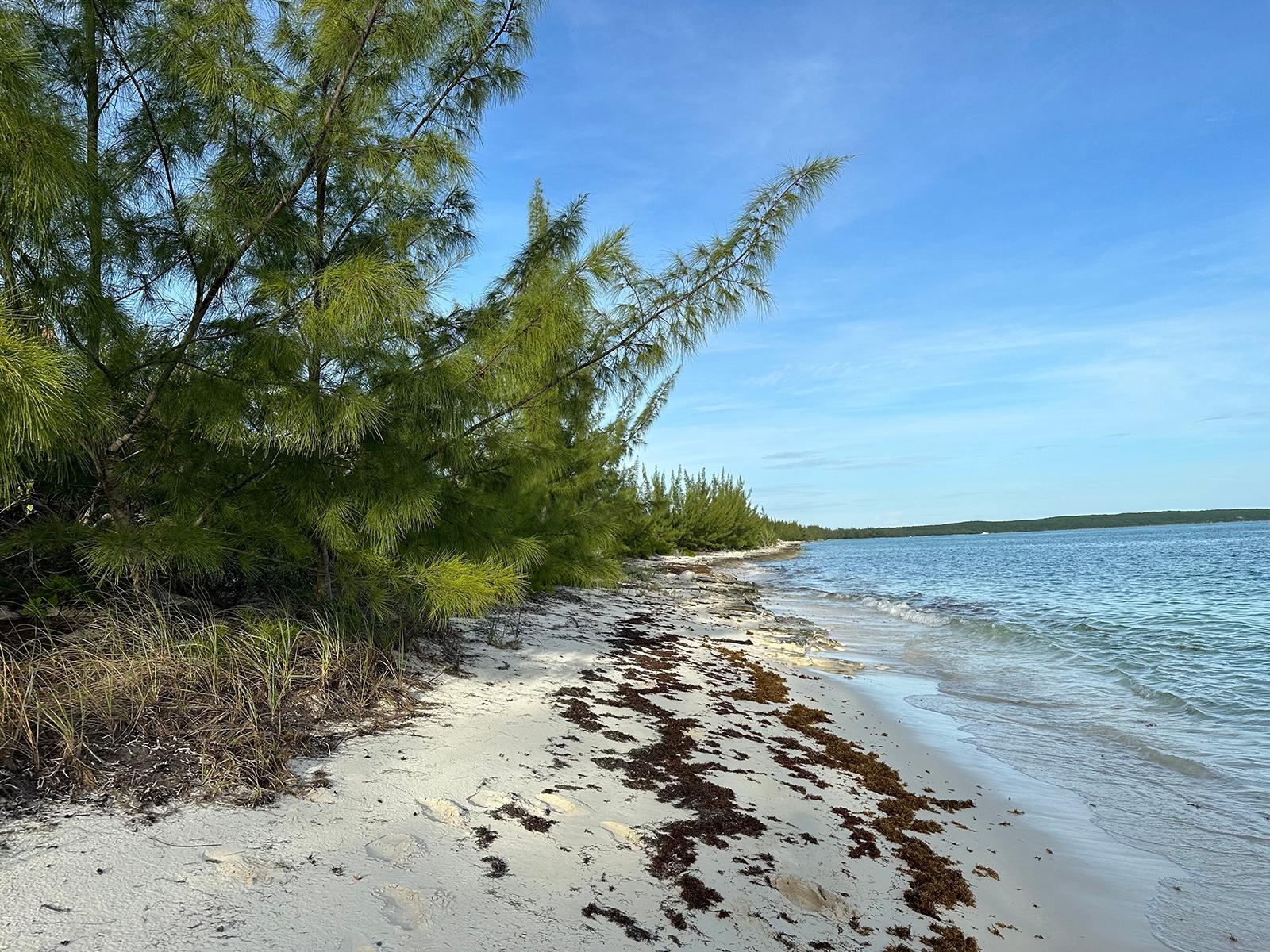 Port Howe Beachfront Lot Property Photo 1