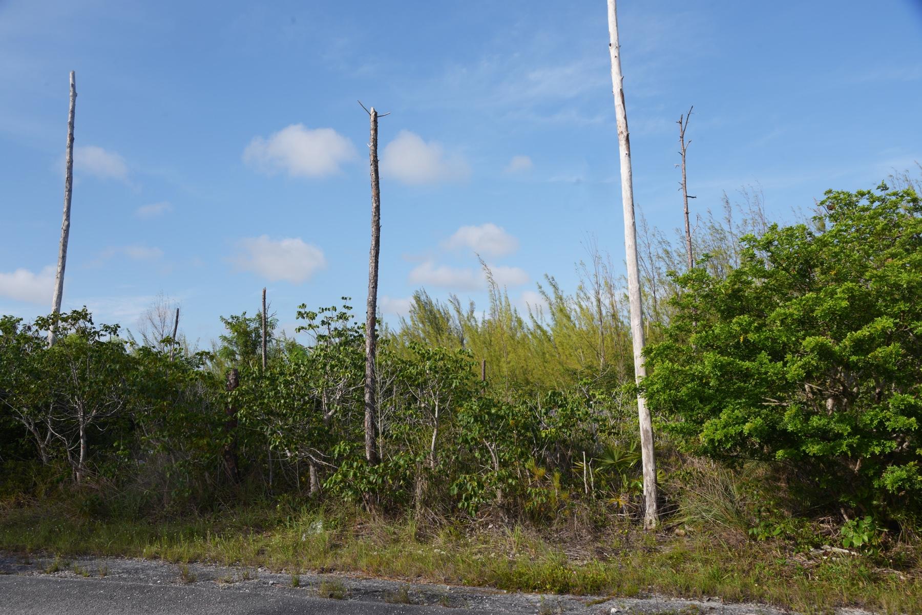 LOT 18 BLOCK 53 2