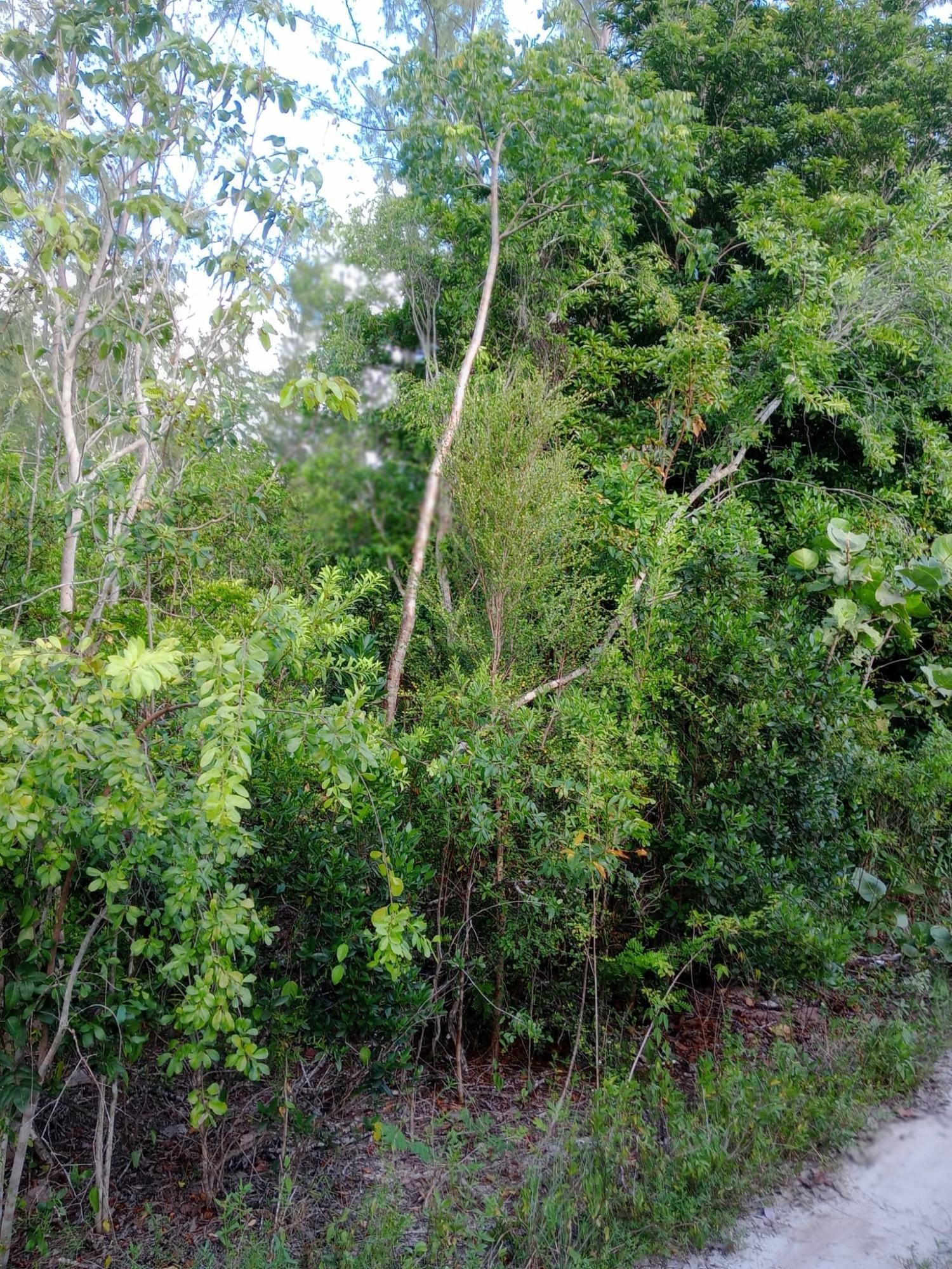 Calabash Bay Property Photo