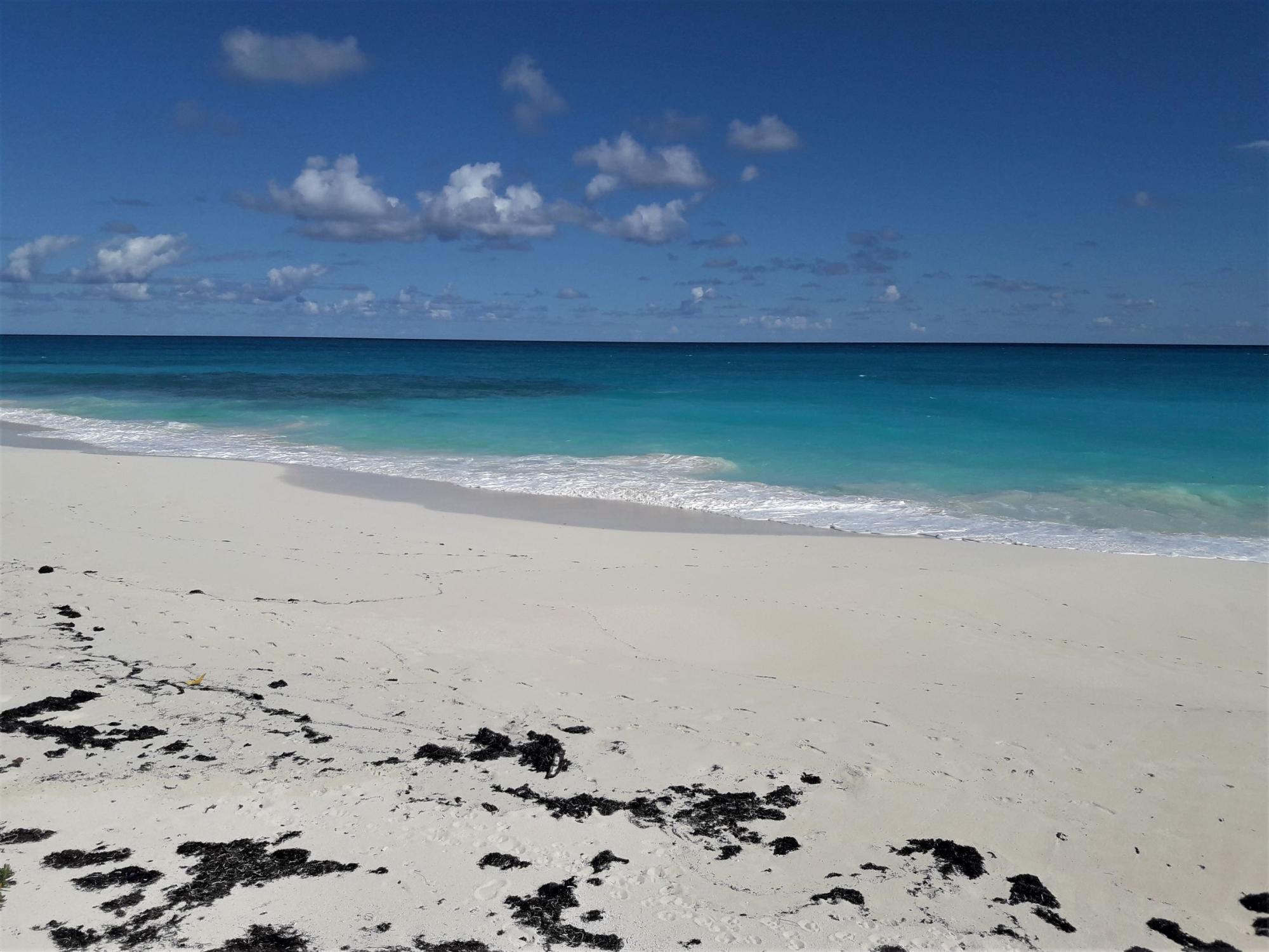 Bahama Sound Real Estate Listings Main Image