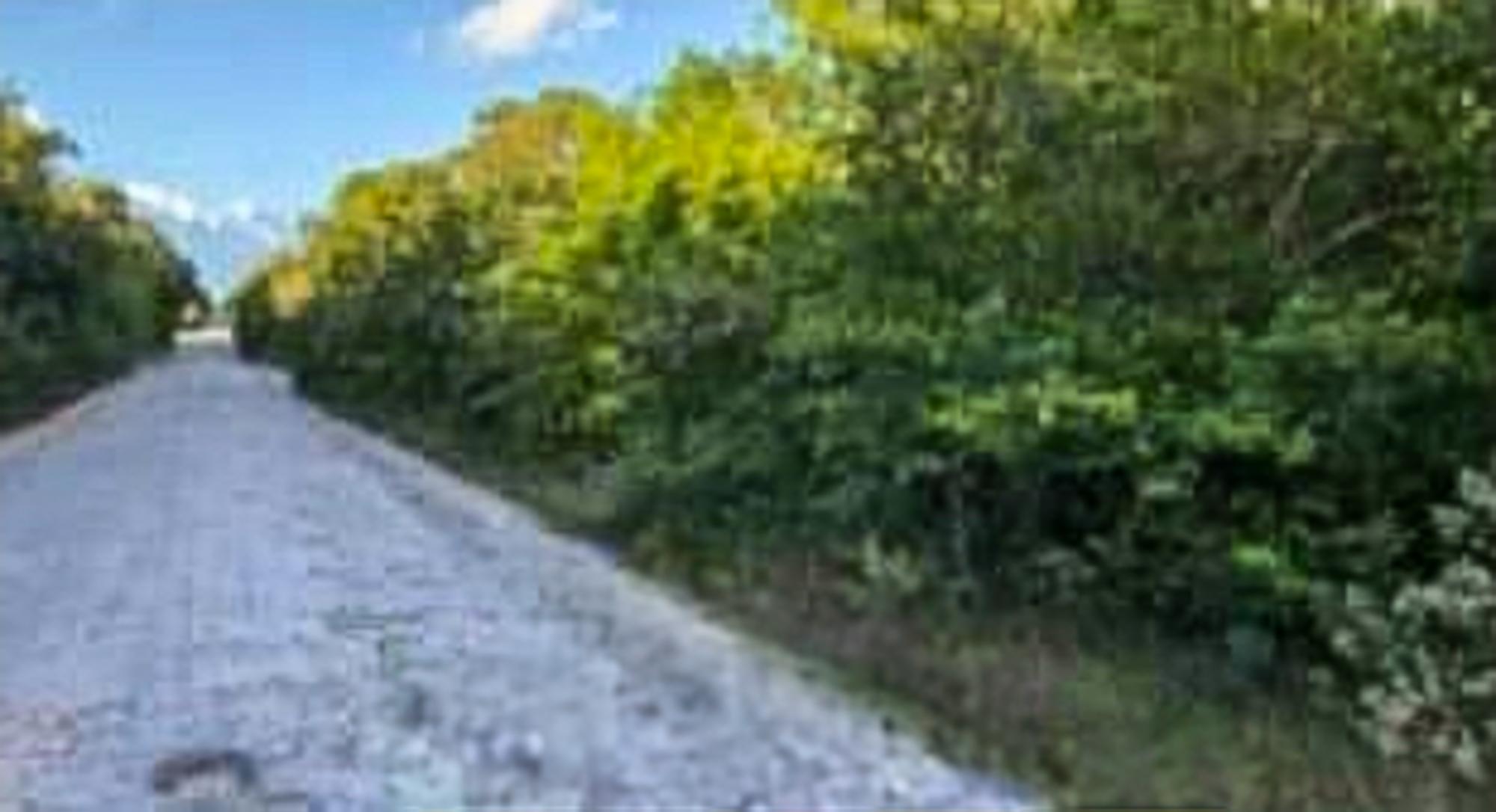 Bahama Sound Property Photo 1