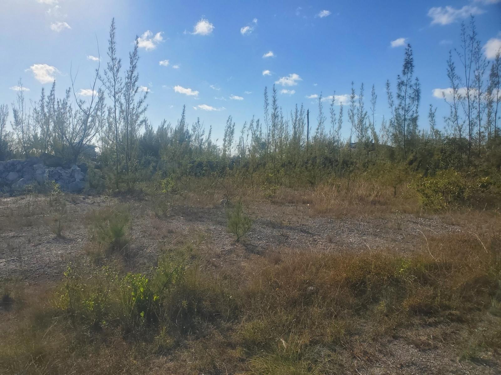 Derby Canalfront Lot Property Photo 1