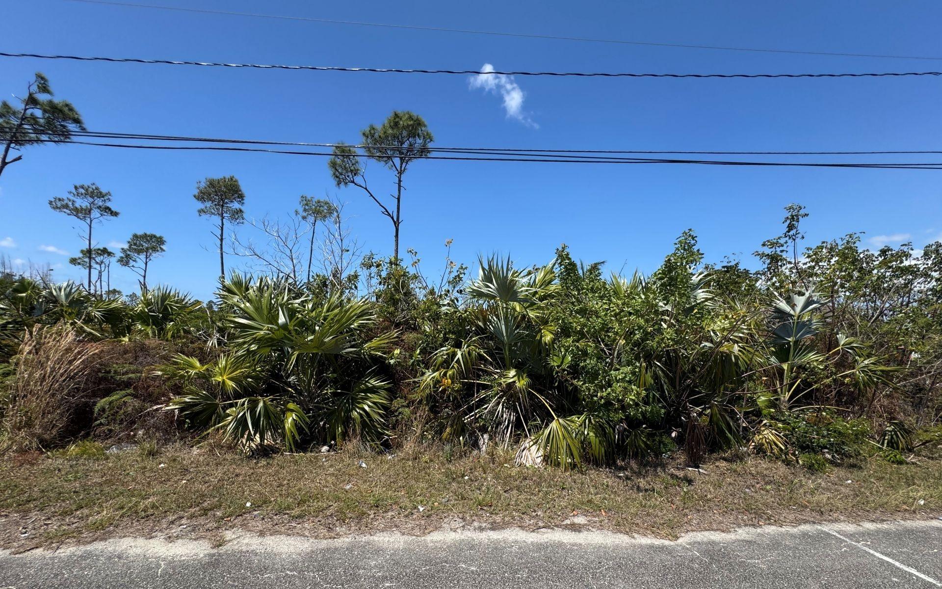 Bahamia West Lot Property Photo 1