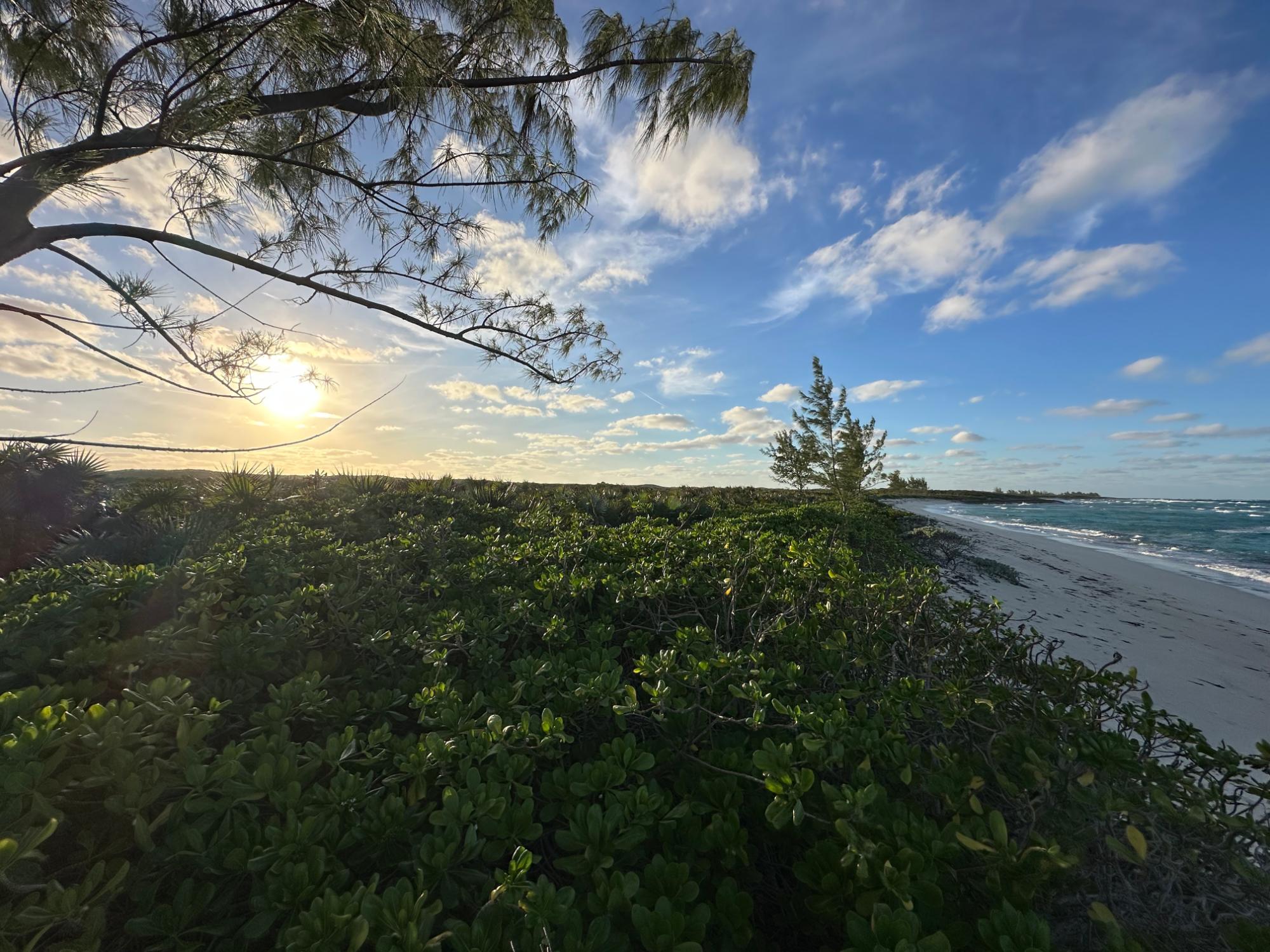 Cat Island Property Photo 1
