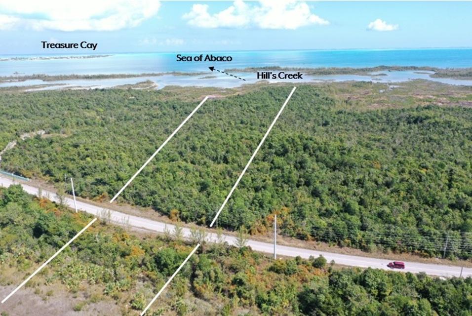 B-115 Hills Creek Property Photo 1