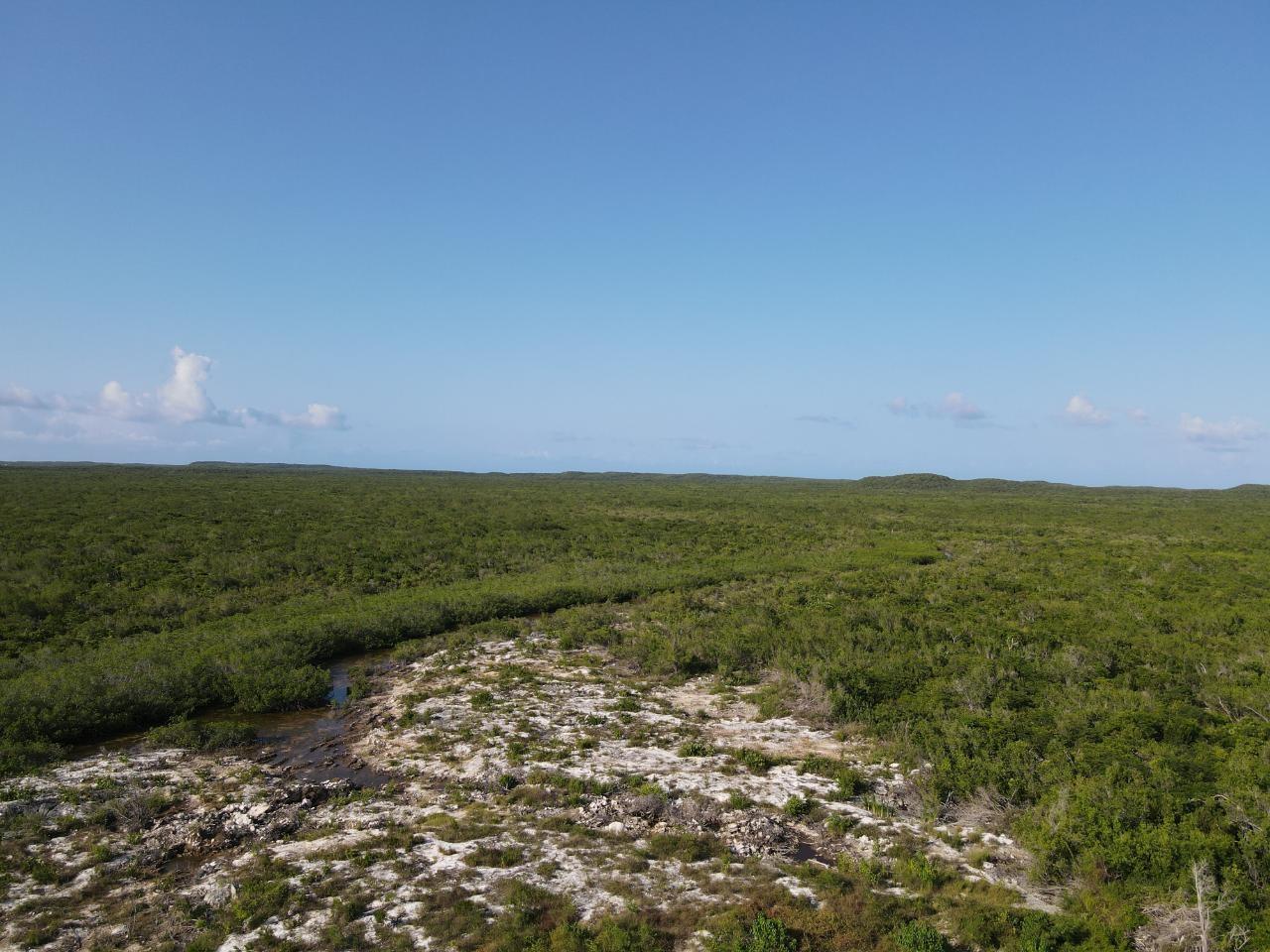 120 Acres Doctor's Creek Property Photo 1