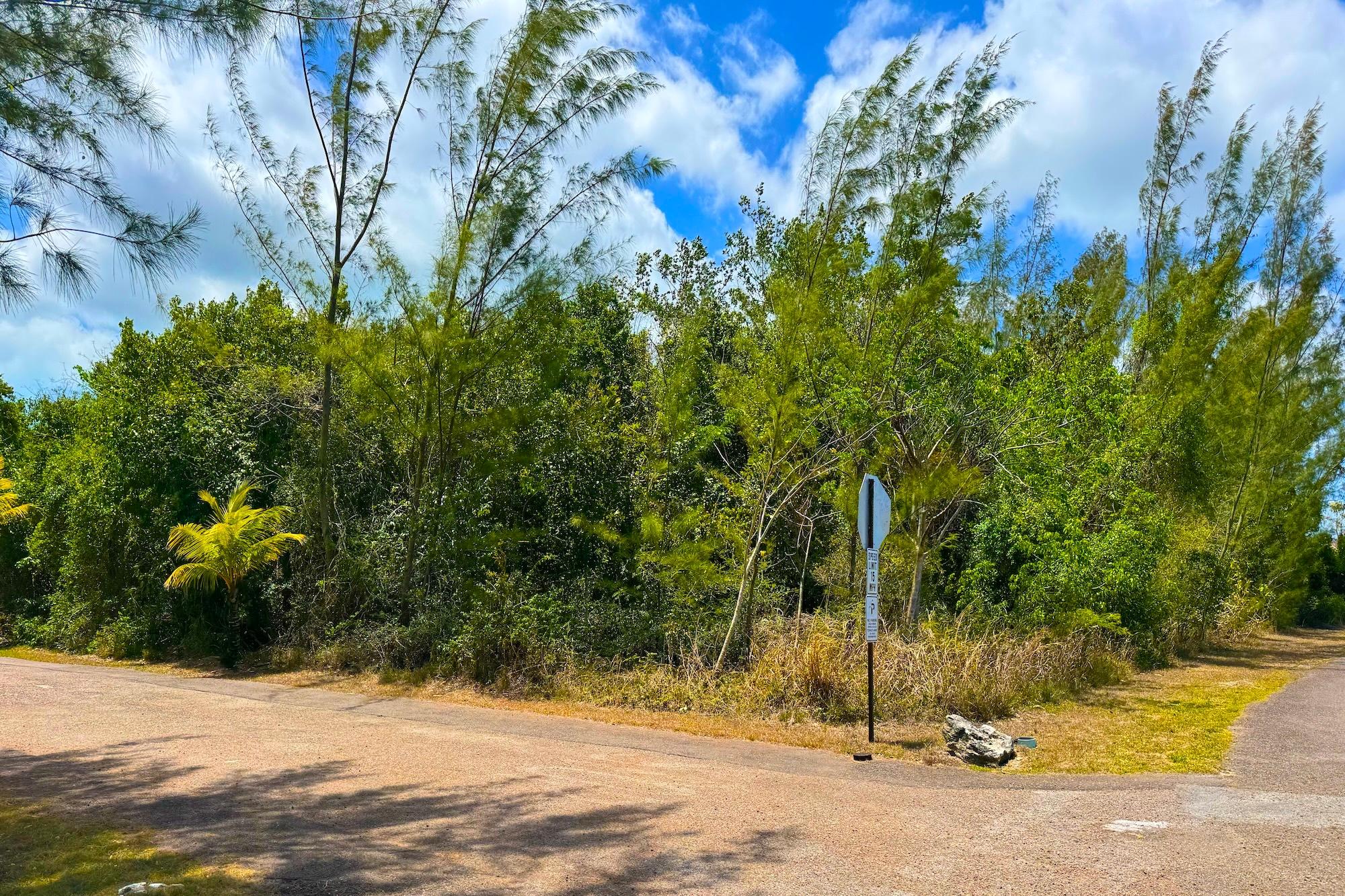 Jacaranda Lot Property Photo 1