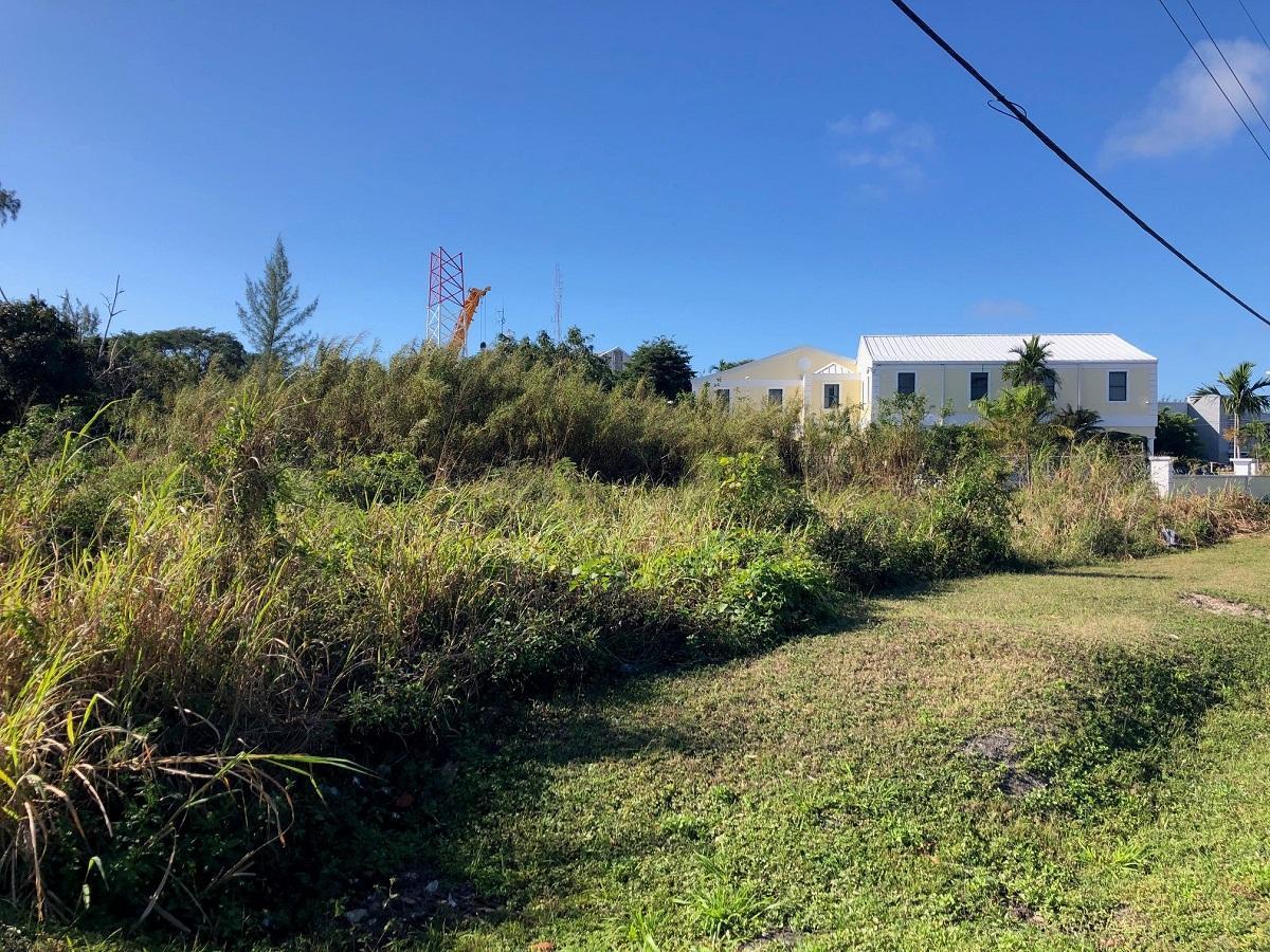 Lot Of Land Harold Road And Bozine Hill Property Photo 1