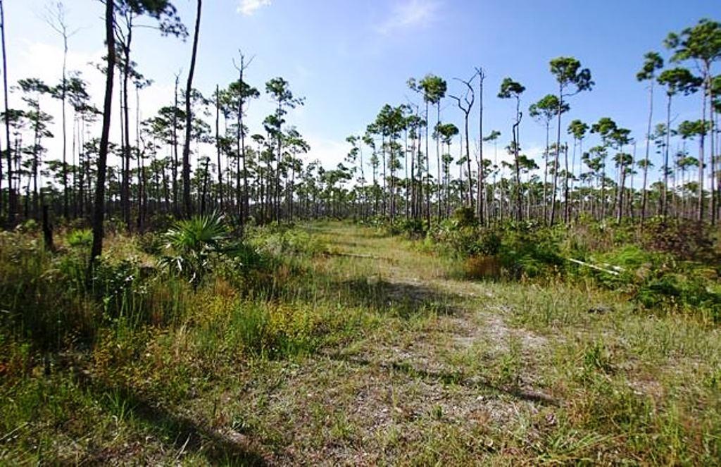 Lucaya Estates Property Photo 1