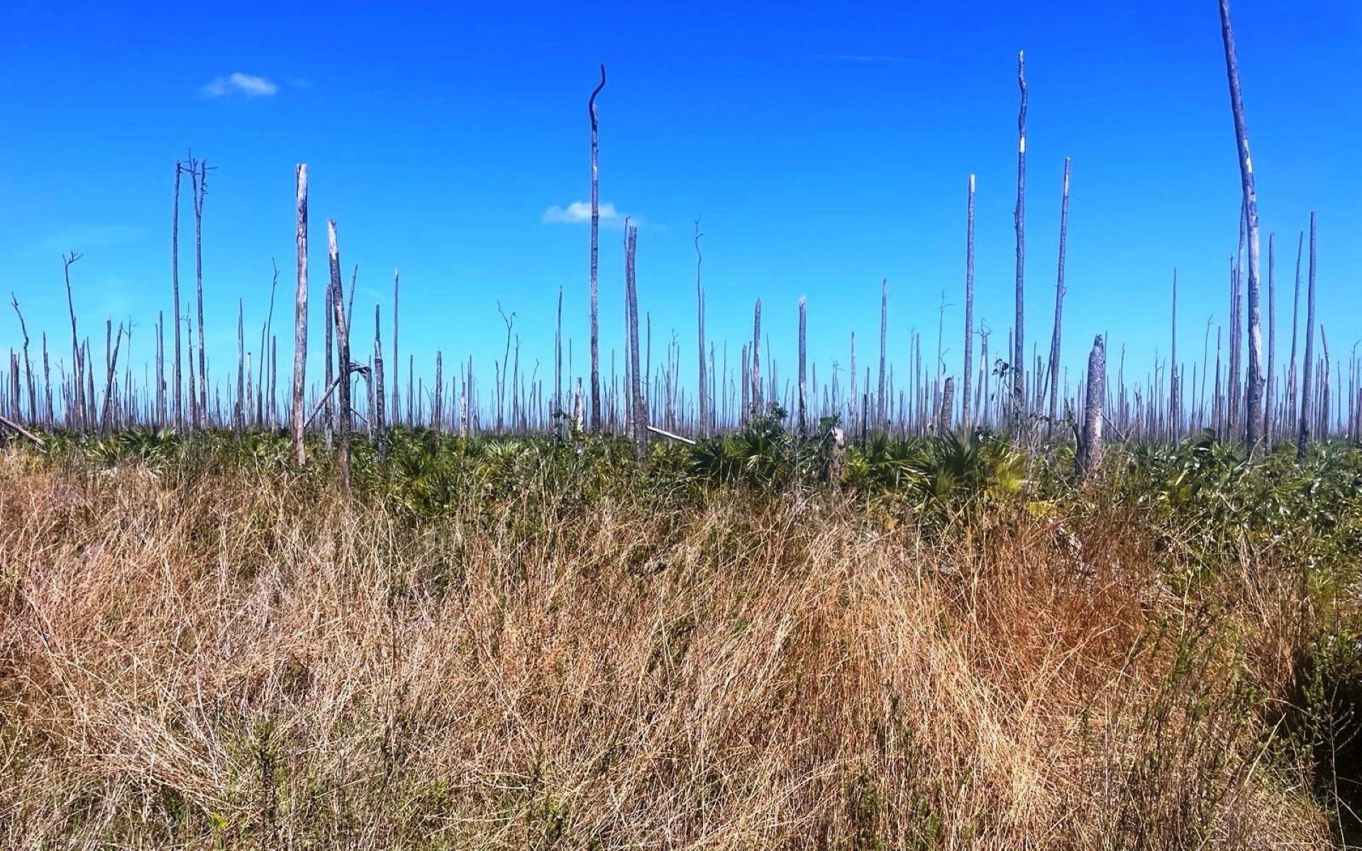 LOT 17 LUCAYA ESTATES 15