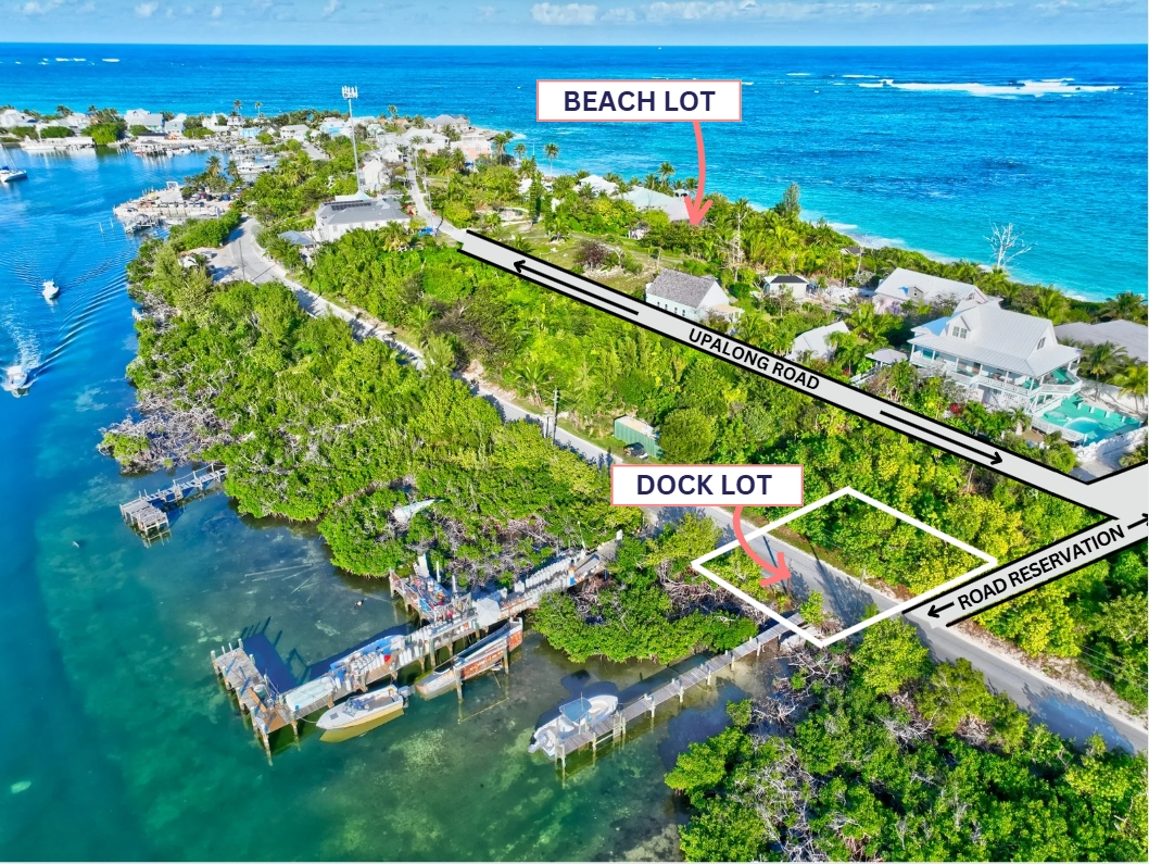 Blue Dolphin Beach & Dock Property Photo 1