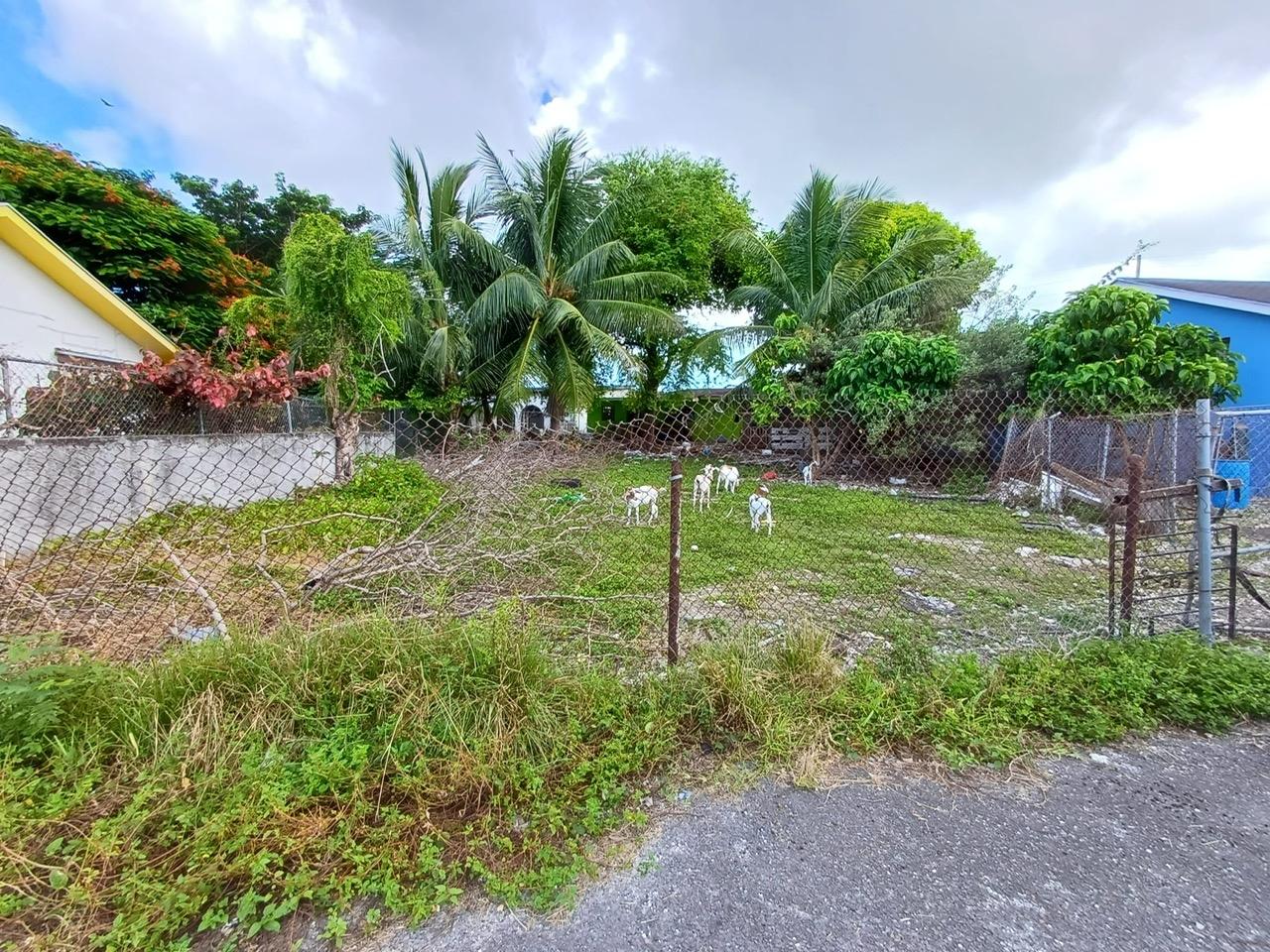 Lumumba Multifamily Lot Property Photo 1