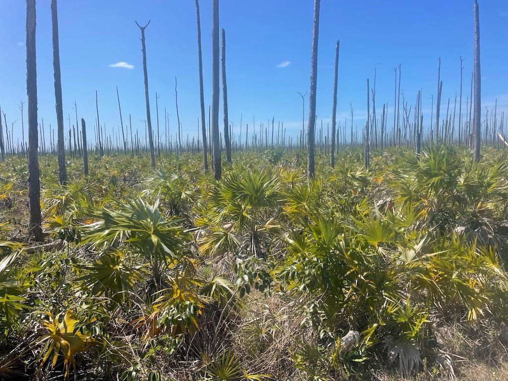 Lucaya Estates Lot Property Photo 1
