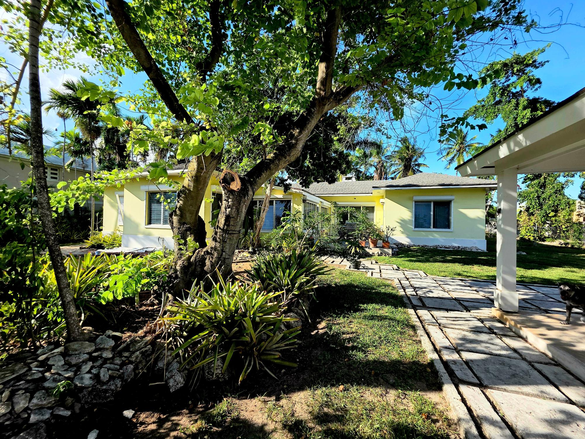 Windsor Avenue Property Photo 1
