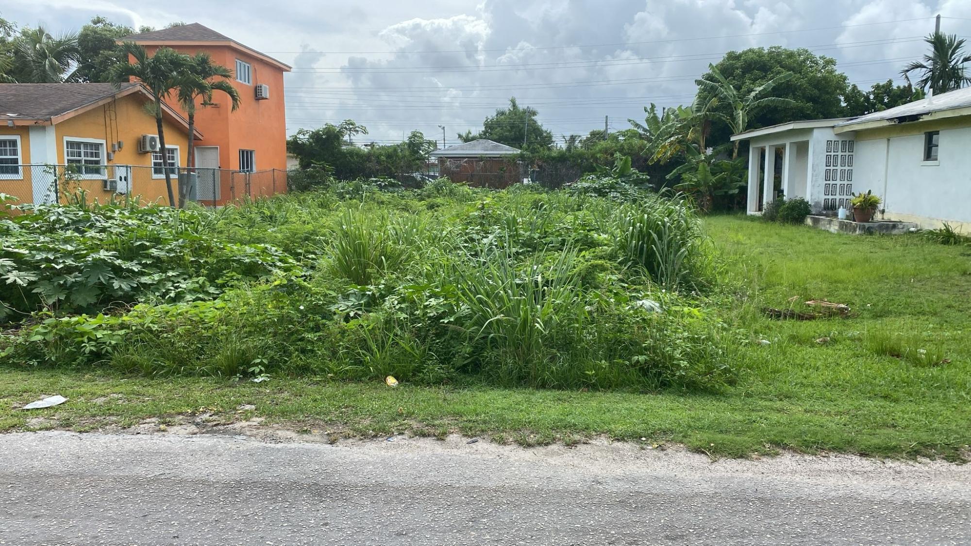 Bamboo Street Property Photo 1