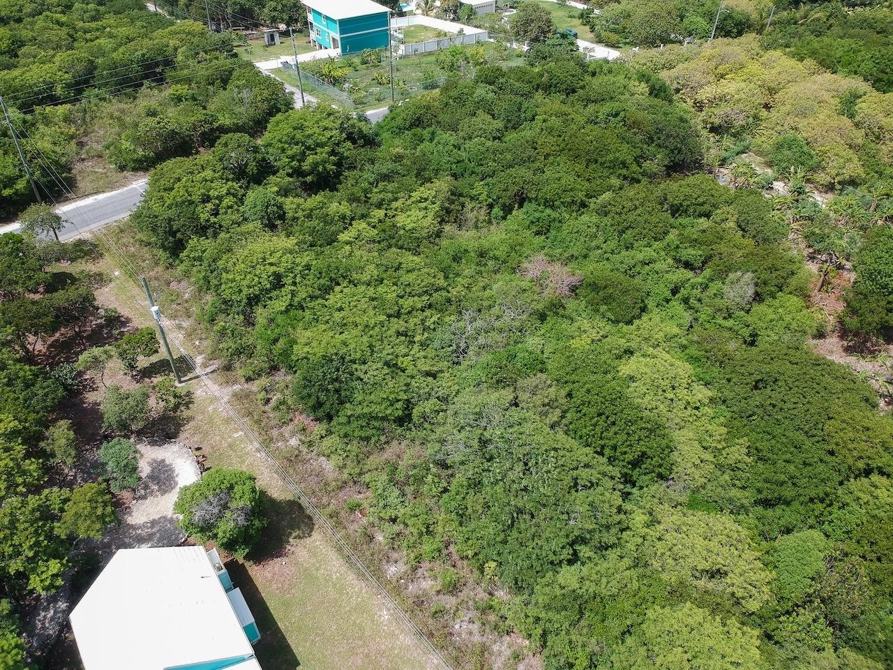 9060 Sq Ft Vacant Lot Property Photo 1