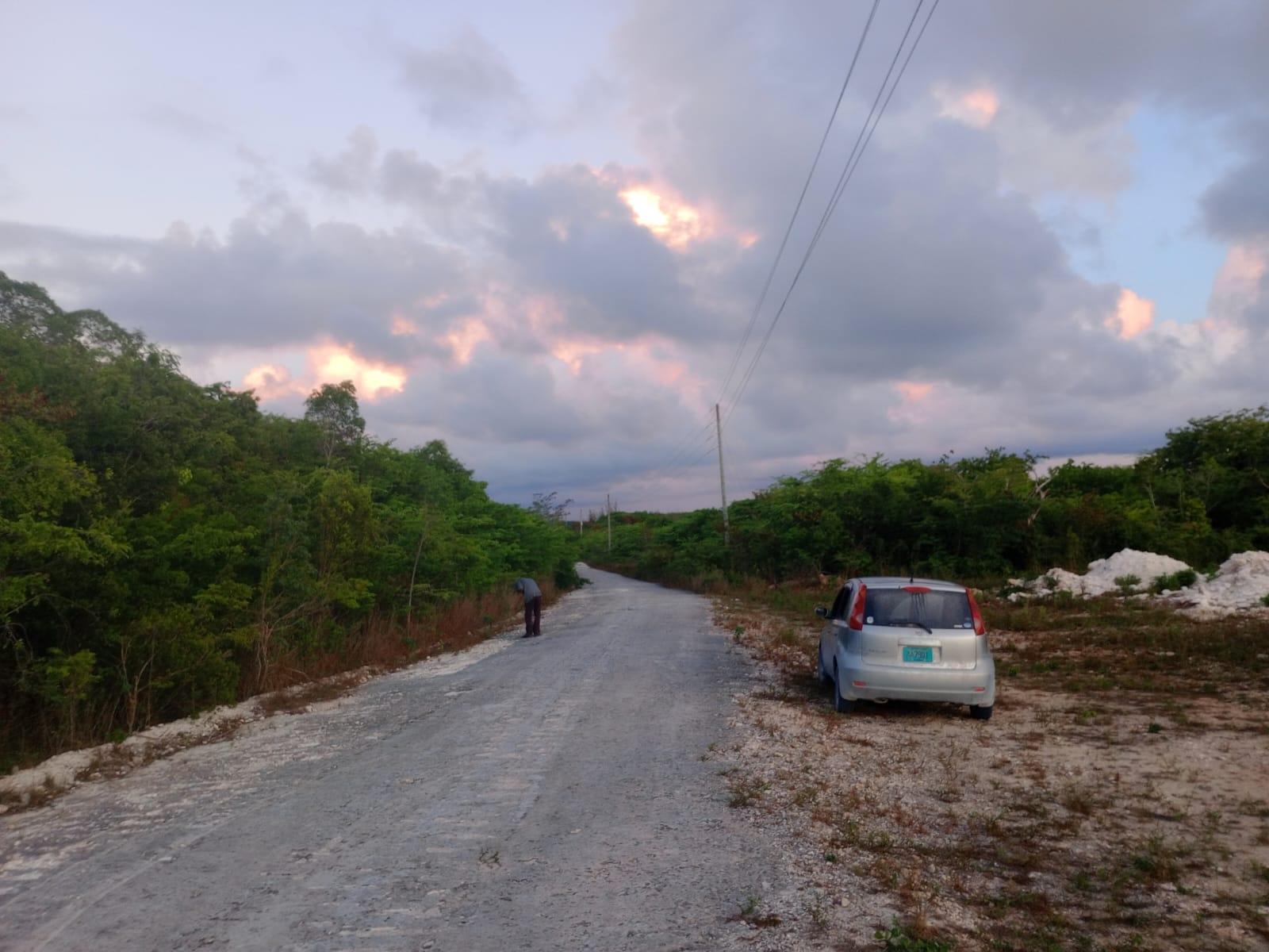 OLD BIGHT CAT ISLAND