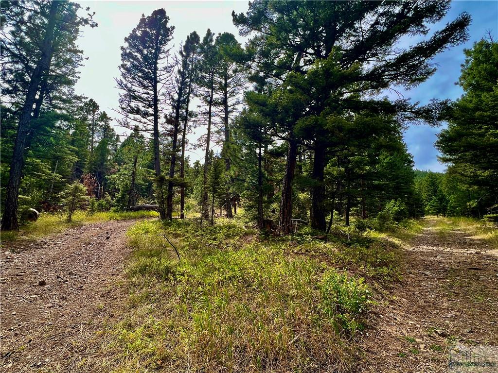0 Box Canyon Road Property Photo 3