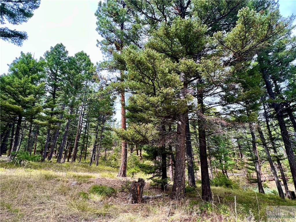 0 Box Canyon Road Property Photo 4