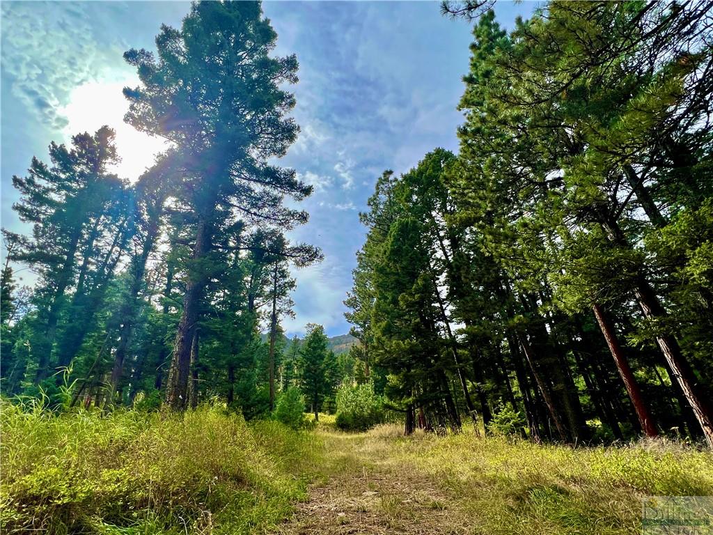 0 Box Canyon Road Property Photo 6