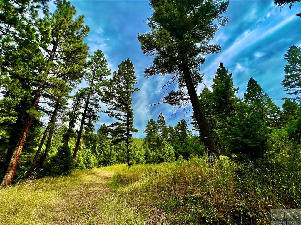 0 Box Canyon Road Property Photo 10