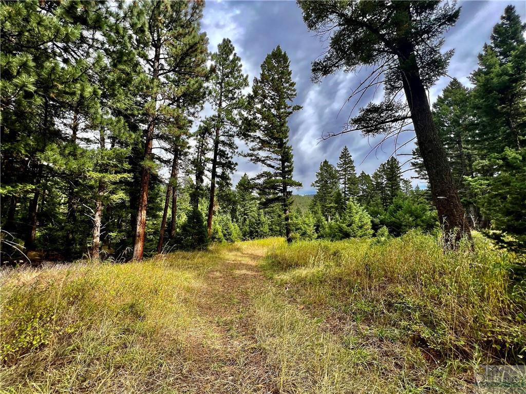 0 Box Canyon Road Property Photo 11