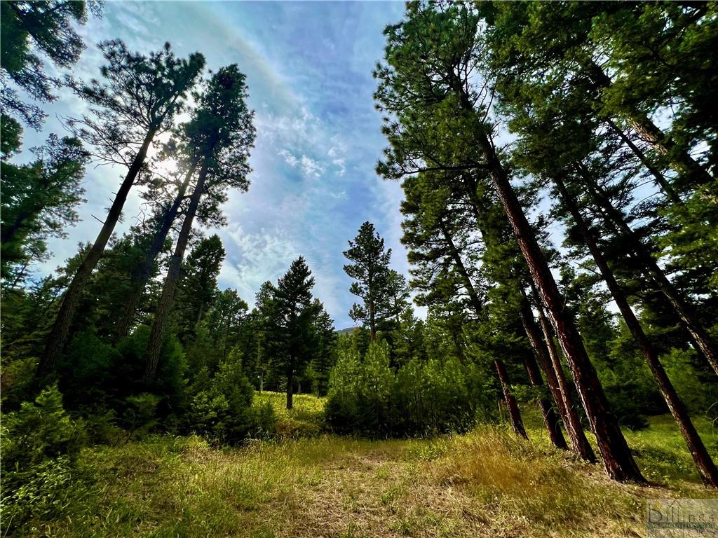 0 Box Canyon Road Property Photo 12