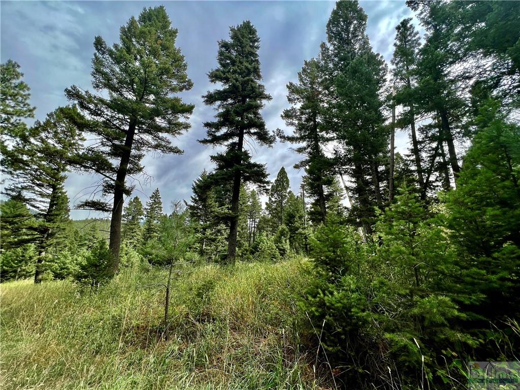 0 Box Canyon Road Property Photo 13