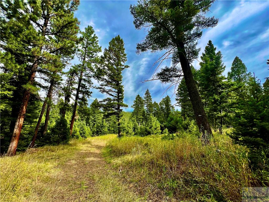 0 Box Canyon Road Property Photo 14