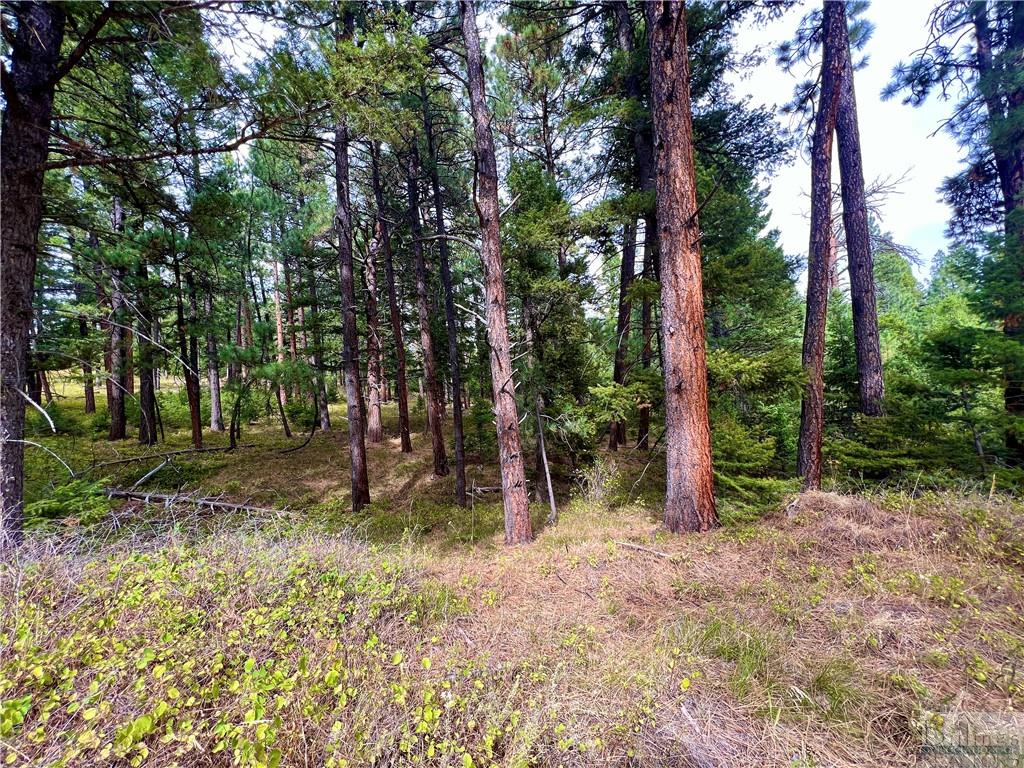 0 Box Canyon Road Property Photo 15