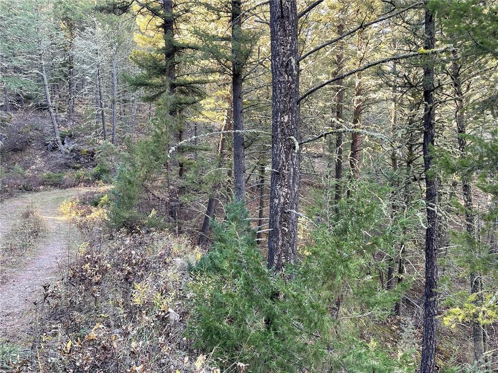 Nsn Two Creeks Road Property Photo 3