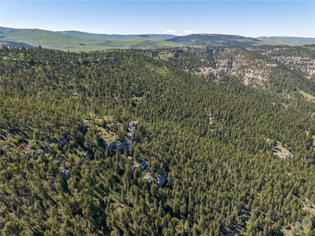 Nsn Two Creeks Road Property Photo 16