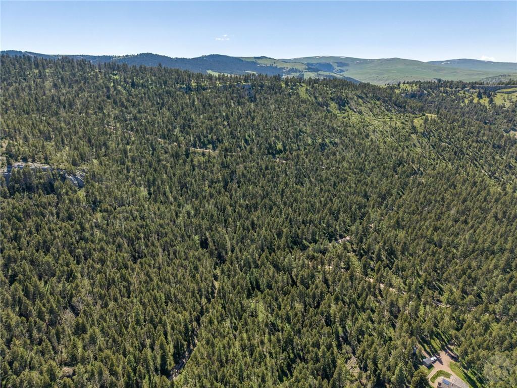 Nsn Two Creeks Road Property Photo 17