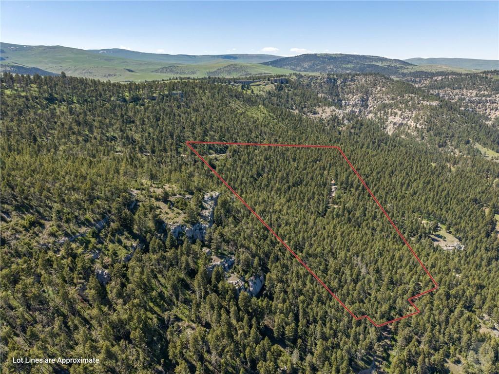 Nsn Two Creeks Road Property Photo 30