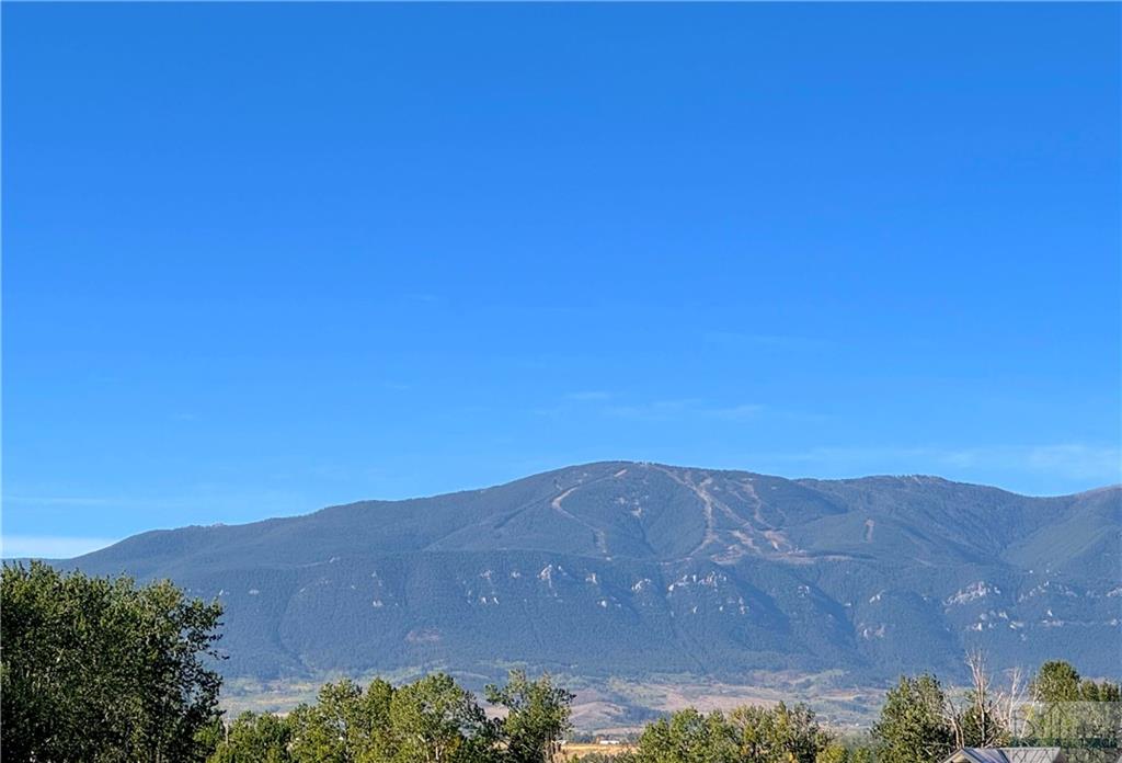 Tbd-lot 5 Horseshoe Trail Property Photo 3