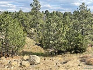 880 Summit Ridge Road Property Photo 16