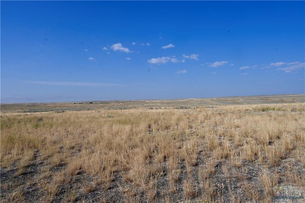 303 Acres Highway 310 Property Photo