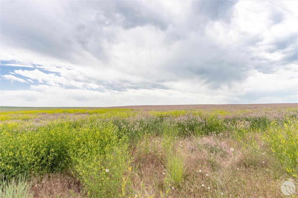160 Acres Mcfarland Road Property Photo 21