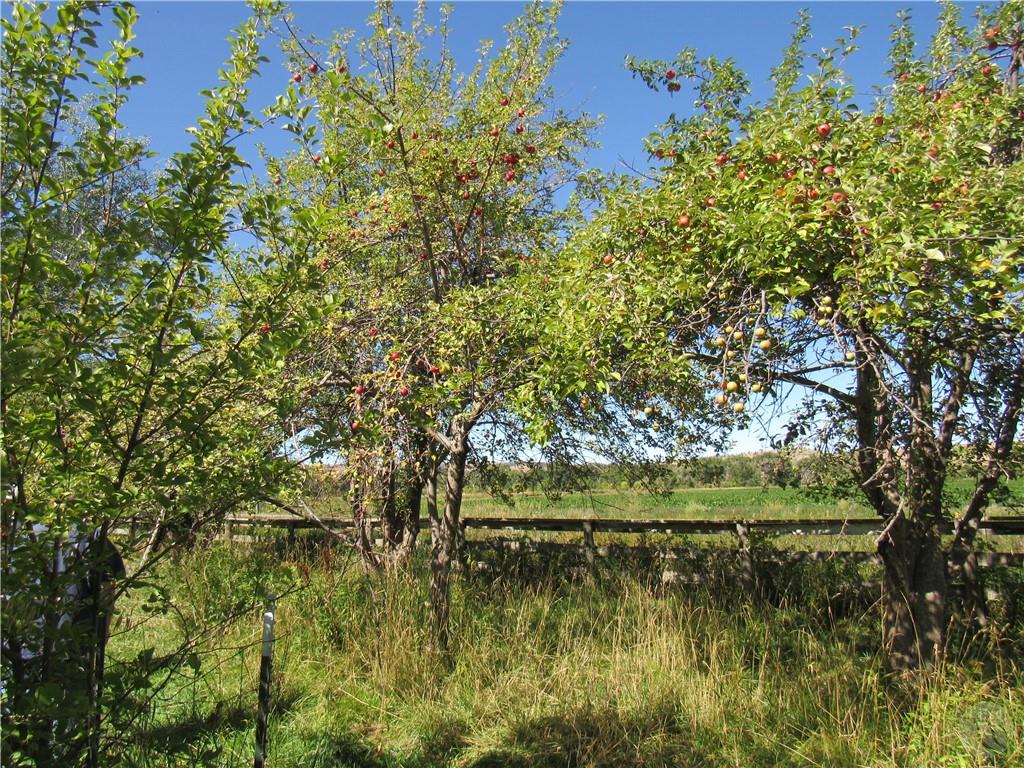 3 Last Chance Property Photo 2