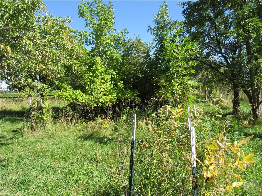 3 Last Chance Property Photo 5