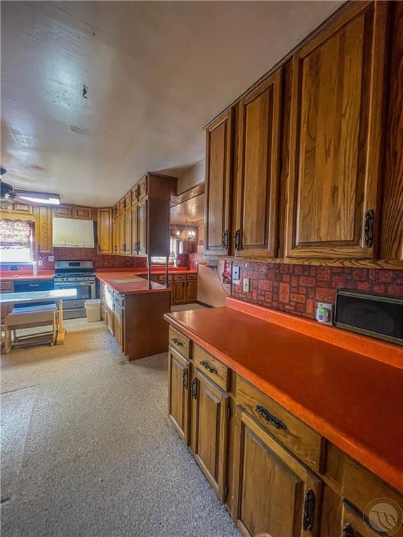 3 Last Chance Property Photo 10