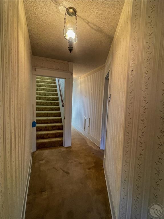 3 Last Chance Property Photo 23