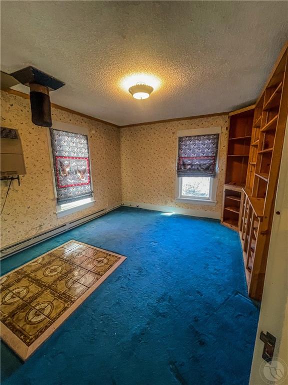 3 Last Chance Property Photo 24