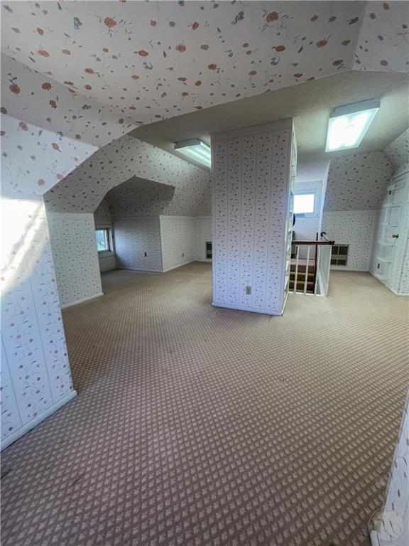 3 Last Chance Property Photo 25